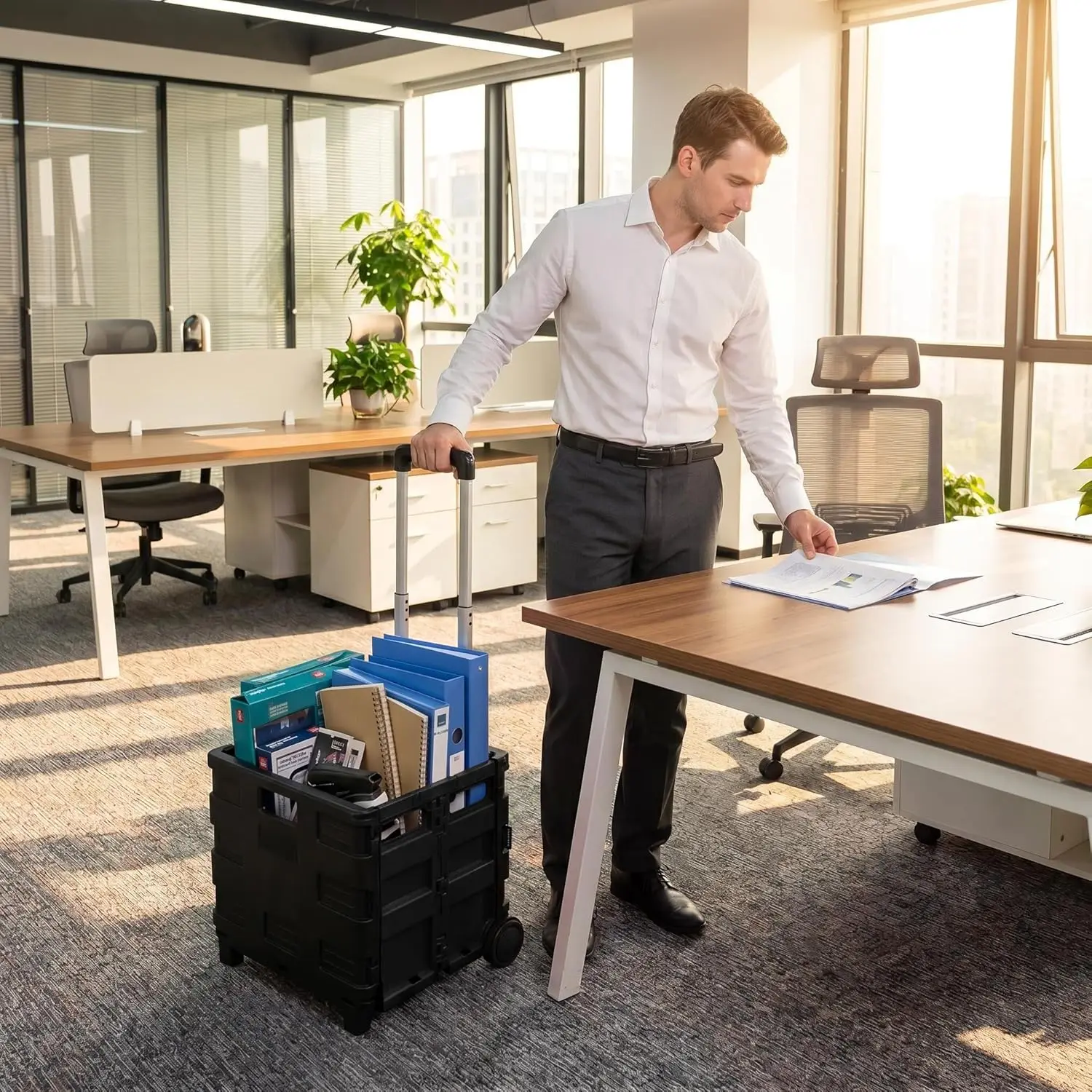 Multi-Purpose Folding Cart on  - Pull Cart Fold review and price